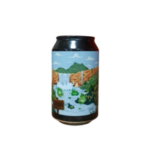 BIERE ANCAN LA CHAOS BOITE 33CL
