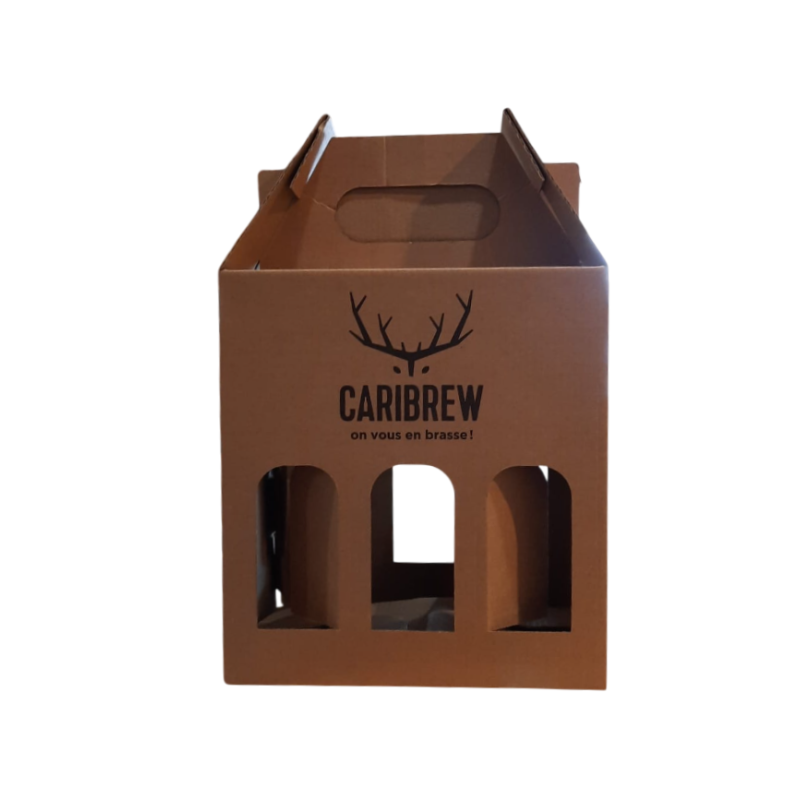 VALISETTE 6 BTLES BIERES 33CL CARIBREW VIDE VALISETTE 6 BTLES BIERES 33CL CARIBREW VIDE
