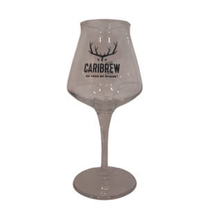 VERRE A BIERE TEKU FLOQUE CARIBREW 33CL