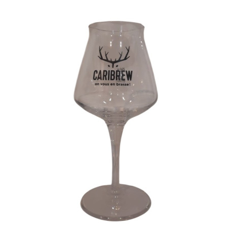 VERRE A BIERE TEKU FLOQUE CARIBREW 33CL