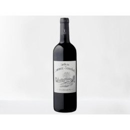 MARGAUX CH LARRIEU TERREFORT 2019