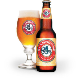 BIERE ST AMBROISE BLONDE...