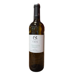 IGP D'OC BLC CHARDONNAY CHATEAUX DE CAUX ET SAUZENS