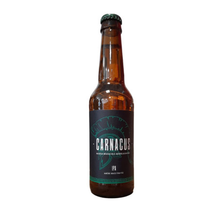 BIERE CARNACUS IPA 33CL 6.5°