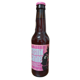 BIERE LA POULE COSMIK JANINE 33CL