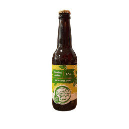 BIERE IPA BIERE DU TEMPS 33CL